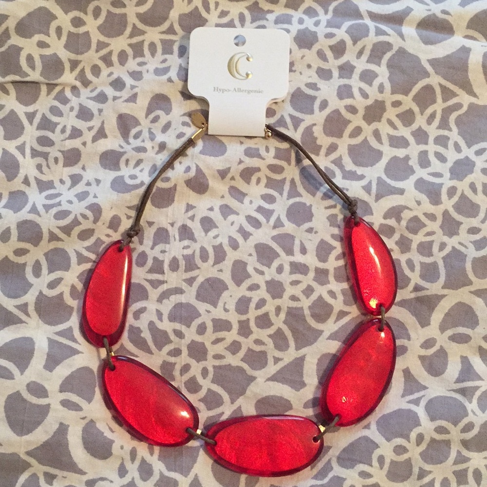 Charming Charlie Hypo allergenic necklace